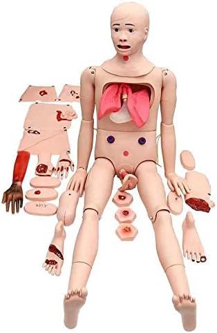 Фокур нега на пациенти Маникин за демонстрација Симулатор ПВЦ Човечки анатомски модел за обука на медицинска сестра