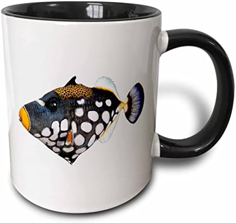 Риба од графики на 3Drose Boehm - Мулти обоена солена вода кловн активирање - чаши