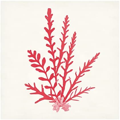 Трговска марка ликовна уметност „Пацифичко море мовс III црвен“ платно уметност од портфолио на диви јаболка 14x14
