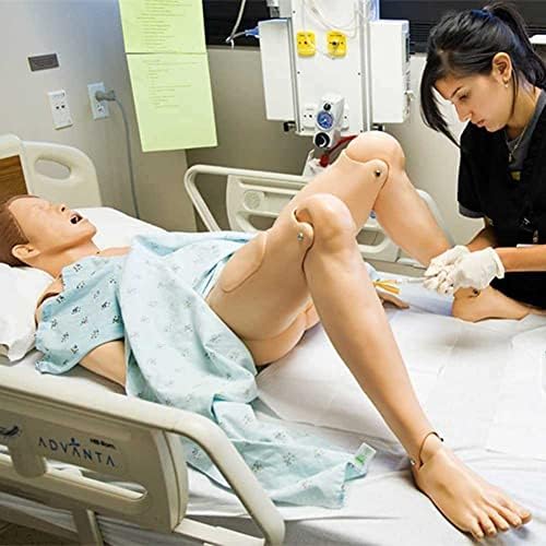 Модел на образование за образование на пациенти Маникин со заменливи гениталии и модули во креветот за медицинска обука за медицинска сестра