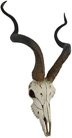 Веронез дизајн африкански куду антилоп череп wallид виси кул изопачени рогови