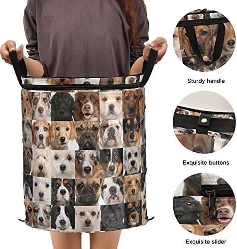 Колаж на кучиња се појавуваат алишта за алишта со капакот за преклопување на капакот за складирање на капакот за домашни простории за деца за патувања