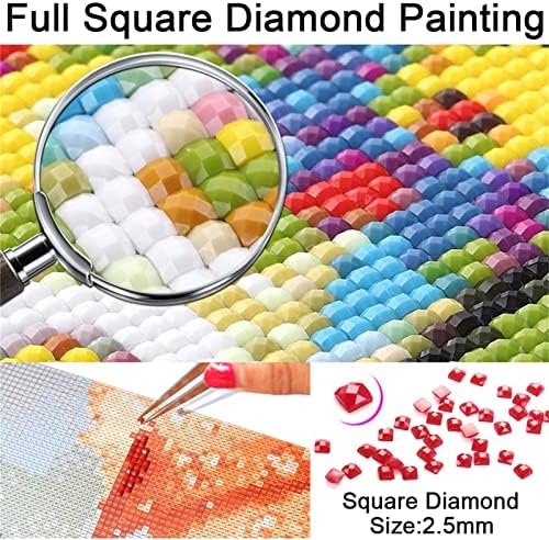 Дијамантски комплети за сликање за возрасни/деца 5D DIY дијамантска уметност боја со целосна квадратна дијамантска уметност шарена
