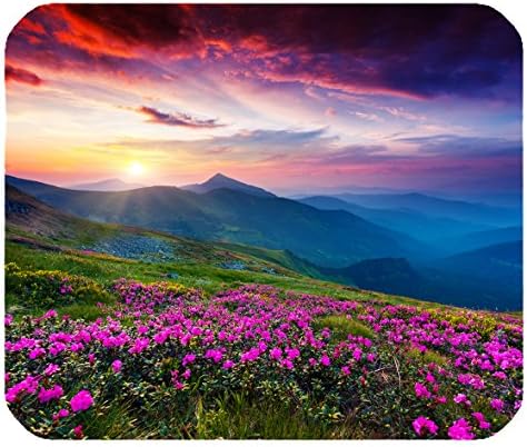 Природа виолетова цвеќиња ливада планински сценско големо подлога за глувчето за глувчето Одлична идеја за подароци