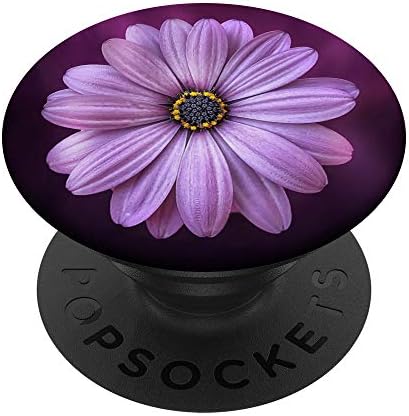 Виолетова Дејзи цвет за жени поп -кокети заменливи поплипки
