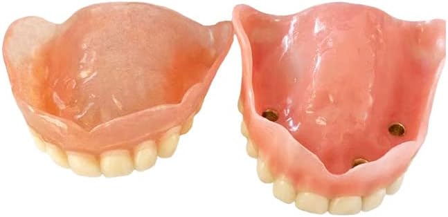 Ленфун горните заби и модел на пониски заби - модел на протеза, модел на демонстрација на стоматолошка настава Отстранлив стандарден модел на заби со целосна уста з