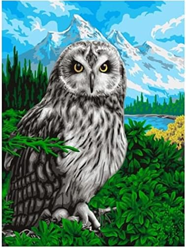 Yscolor Forest и Owl сликарство по броеви за деца и возрасни и почетник DIY платно за сликање Подароци за подароци за одмор 16x20inch