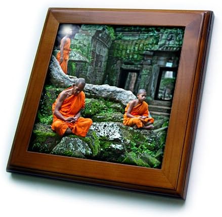 3дроза Три Портокалови, Зелени Теравада Будистите Седи Во Та Пром Џунглата Храмот Врамени Плочка