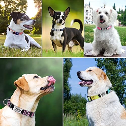 Таглори Западни Јаки За Кучиња Персонализирани Со Сопствен Слајд На Врежана Плоча Со Име, Прилагодливи За Кученца, Мали, Средни И Големи Кучиња