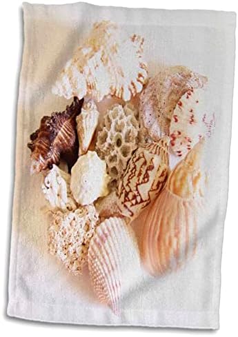 3drose florene Decorative - таа продава морски школки - крпи