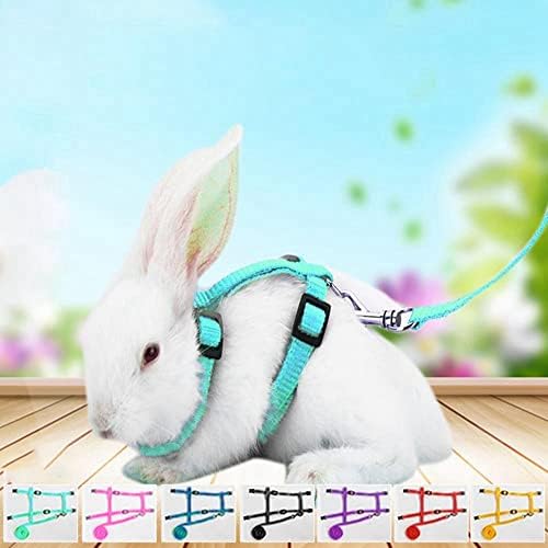 Houchu 1pc Пет зајак со зајаци поводник мека најлонска лента за замор заморчиња за трчање на целото тело миленичиња влечење појас