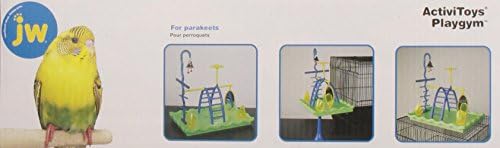 JW Company Company Company ActiveToys игра Gym Pird Toy, 12 '' Должина x 8 '' Ширина x 11,5 '' Висина