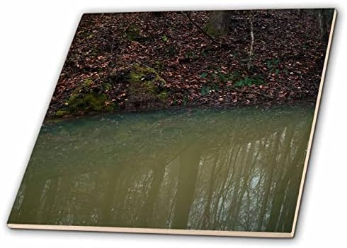 3дроза Фотографија на рефлексии на дрвјата во водата на потокот. - Плочки