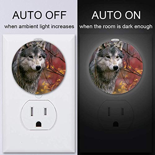 Grey Wolf Boys Auto Int/Off Plug-In Night Lights за скалила, ходник, влез