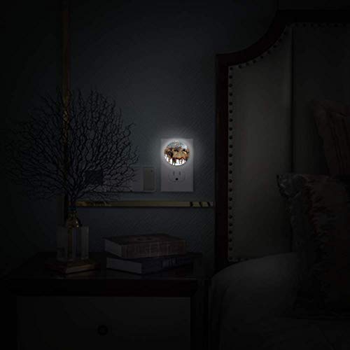 Зимски Елкс приклучува LED автоматска светлина за спална соба, ходник и кујна, пакет 2
