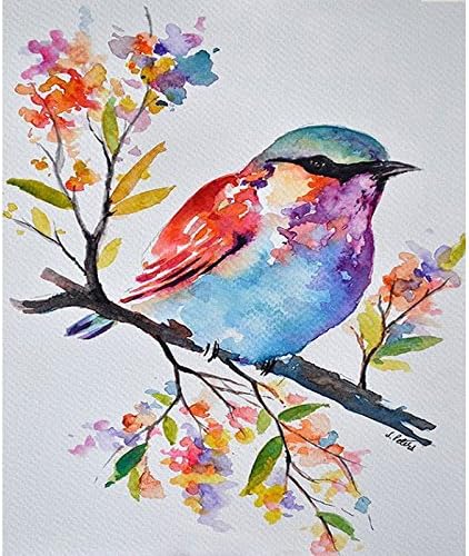 Сликарство за масло од DIY по броеви, шарен комплет за птици уметност PBN за возрасни девојки Девојки Божиќ 16x20inch [дрвена рамка]