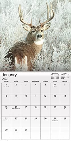 Трофеј Бакс Календар 2023 -- Делукс 2023 Долари Ѕид Календар Пакет Со Над 100 Календарски Налепници