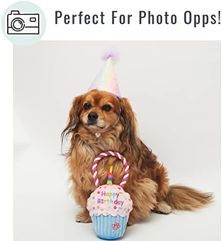 Пет Лондон Среќен роденден играчка за кучиња со кучиња со пискалка и јаже-слабеат-слатки на вашето куче или подарок за посвојување или посвојување