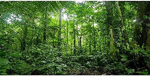 АВЕРТ 72х24 инчи Позадина На Терариум Тропски Аквариум Позадина Зелено Огромно Дрво Дождовни Шуми Живеалиште На Влекачи Позадина