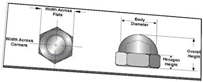 X-Ree 5/16 Thread DIA 304 DIARIACHEL челик купола капаче за глава ACORN HEX NUT SILEDER TONE 20PCS (5/16 '' Rosca Dia 304 Acero