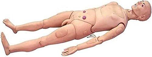 Tuozhe CPR симулатор Човечки анатомски модел 5,7ft големина на животна грижа за пациенти маникин обука за студенти образование настава медицински
