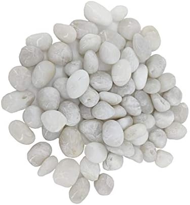 FifturedIsPlays® Декоративни полирани бели камчиња 3/8 -13/16 Големина на чакал 2,2 фунти мала торба 15356-NPF