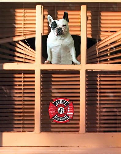 Налепници за Предупредување за миленичиња-Зачувајте Ги Моите Миленици Во Случај На Налепници За Итни Случаи-Внатре Во Прозорецот Статички Налепници