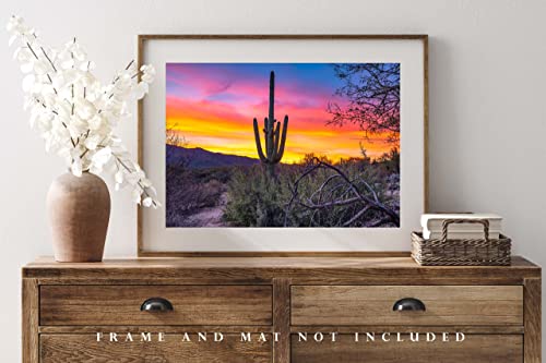Југозападна фотографија печатена слика на сагуаро кактус на изгрејсонце во пустината Соноран во близина на Тусон Аризона Западен wallид Арт Арт Декор од 4x6 до 40x60