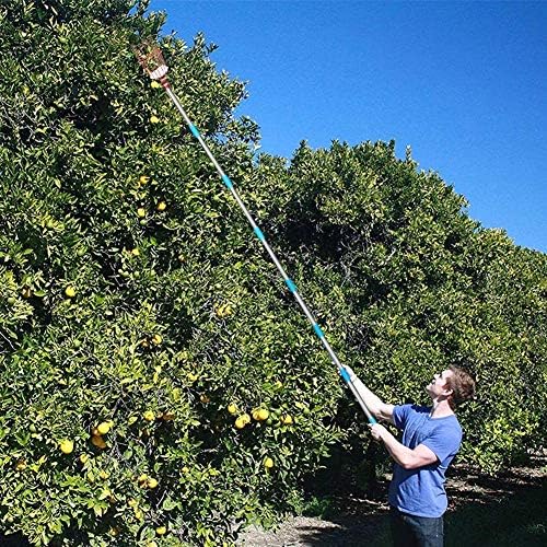 Алатка за избор на овошје од кокосово овошје, Пол за избирачи со овошје со прилагодлив за висина на корпата - 8ft Манго лимон