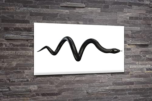 Акрилна стаклена рамка модерна wallидна уметност змија - животни во диви црно -бели серии - дизајн на ентериер NFT - акрилна wallидна
