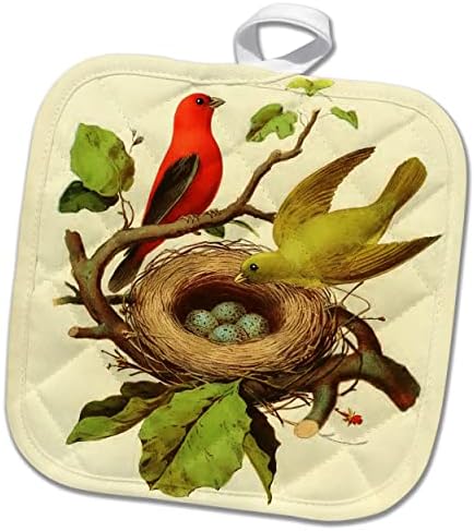 3drose гроздобер птици печати црвенило танаџер птици гнездо јајца илустрација. - Potholders