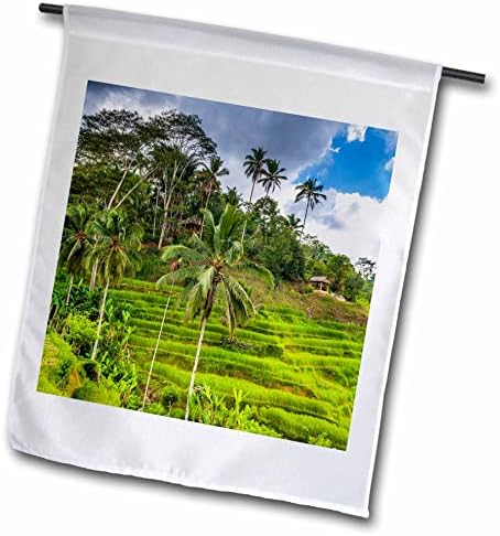 3drose оризови полиња на Тегаланг Рајс Тераса, Бали - знамиња