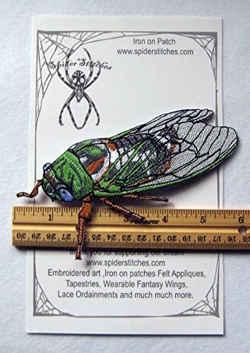 Зелен цикада инсект железо на лепенка