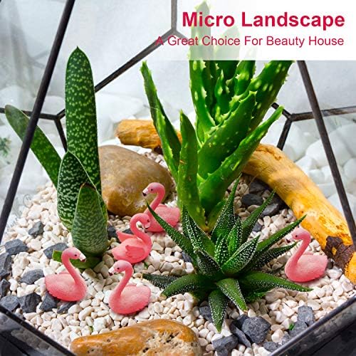 Boao 16 парчиња мини фламинго минијатурни фигурини градина минијатурен мов пејзаж DIY украси додатоци, декорација на торта, декорација