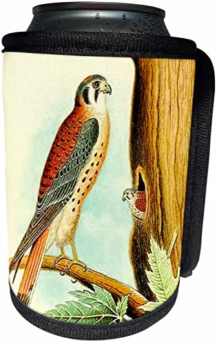 3Drose Sparrow Hawk - Гроздобер диви птици од плен уметност. - може да се лади обвивка за шише