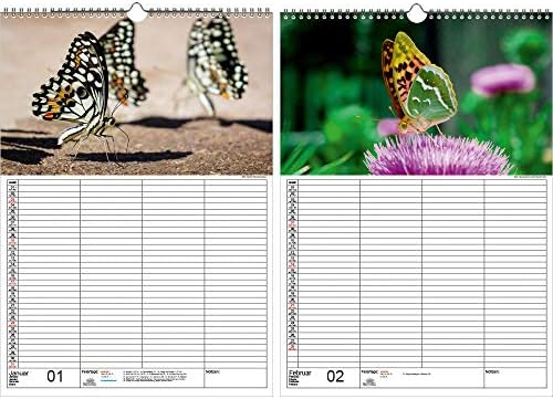 Планер на семејството-Магичен КАЛЕНДАР ЗА Пеперутки ДИН А3 за 2021 Година Пеперутка – Содржина На Комплетот За Подароци: 1 х Календар, 1 х Божиќна