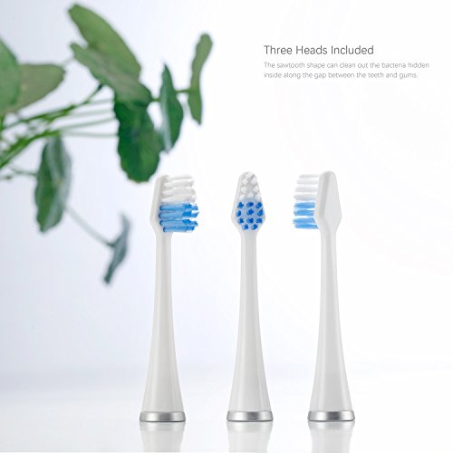Електрична четка за заби Sonic ptatoms Home Home Oral Care Kit Полнење на туристички четки за заби 3 режими водоотпорен длабок чист
