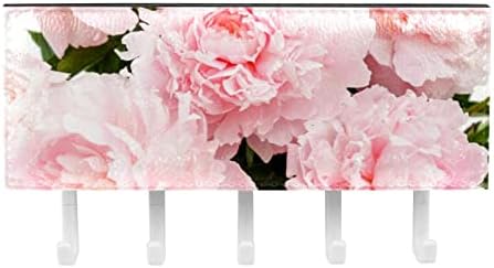 Laiyuhua Шарени лепливи куки со 5 куки и 1 оддел за складирање, совршен за вашиот влез, кујна, спална соба за спална соба побожни цвеќиња розови романтични романтични роз