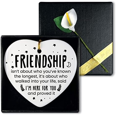 Пријателски подароци за жени пријател, пријателство не е за кого сте го познавале најдолгиот, инспиративен пријател подароци