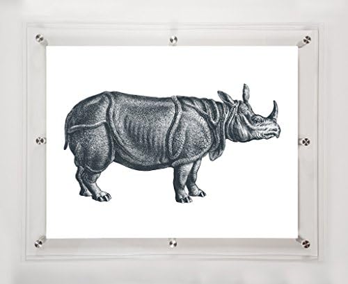 Носорог Мичел Блек, 25, 5х31, 5ин.