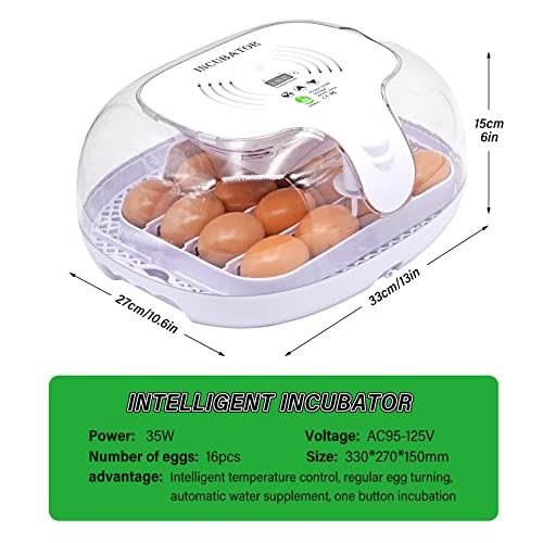 КЕАРПСЛ 16 Инкубатор За Јајца Инкубатор За Шрафирање Јајца Со Свеќник За Јајца, Контрола На Температурата, Автоматско Вртење Јајца И Додавање