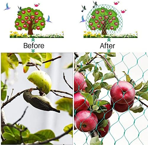 Птица за мрежи за градина, 13x20ft градинарски мрежи, мрежно овошје од дрво не затегнуваат и еднократно мрежна мрежа за птици ги заштитуваат овошните зеленчуци растен?