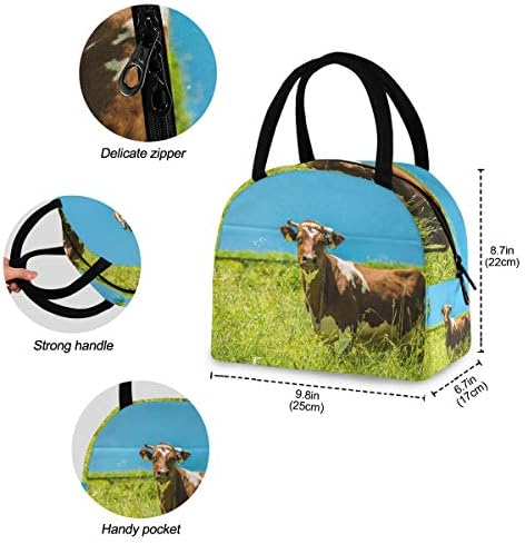 Изолирана торба За ручек Жени-Пасишта Од Животинска Крава Големи Вреќи За Ручек Отпорни на Истекување со ремени за рамо за Работен Пикник