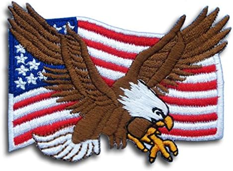 Игл Хоук Балд Соединетите Држави САД САД САД Американски знамиња воена армија за велосипедисти јакна маица униформа лепенка шива железо на извезена костим за знац