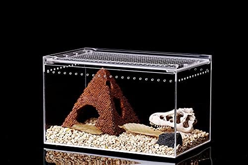 Лисомплум Транспарентна Кутија За Хранење Влекачи Мал Акрилен Носач За Размножување Терариум За Тарантули од Скорпија 7,87 х 5,90 х 5,90 инчи