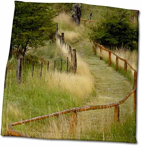 3 -тата трева поставена патека, Лос Гласијарес НП, Аргентина, Патагонија - крпи