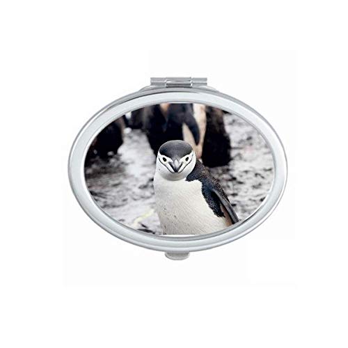 Копнен организам животински пингвин огледало преносен преклопен шминка со двојни странични очила