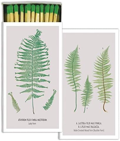 МОЈОТ ЛУД ДОМА Ботанички Гроздобер Стил Зелен Лист Натпревари | Постави 10 Графички Хартија Долг Камин
