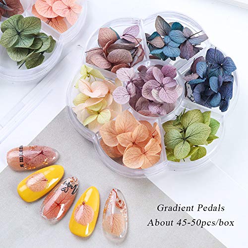 Сушени цвеќиња за уметност за нокти, 7 бои суви цвеќиња мини реални природни цвеќиња за нокти Арт материјали 3Д Апликација за