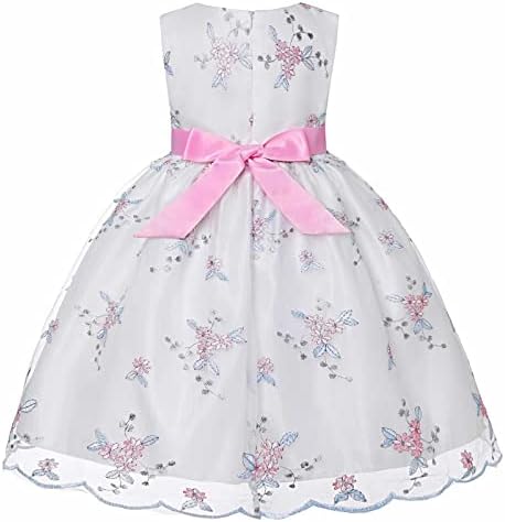 Везена фустан со фустан од куглање Меша принцеза Туту девојки се облекуваат мали девојчиња лето везена мрежа од 12 месеци девојка облека